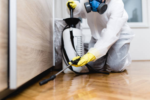 Best Local Pest Control Services  in Port Gibson, MS