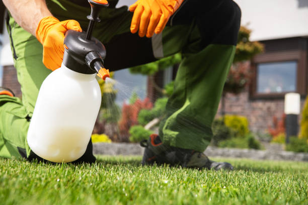 Pest Prevention Services in Port Gibson, MS