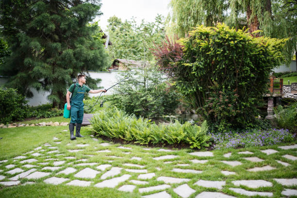 Best Mosquito Control Services  in Port Gibson, MS