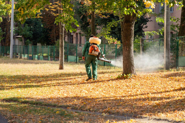 Best Best Pest Control Companies  in Port Gibson, MS